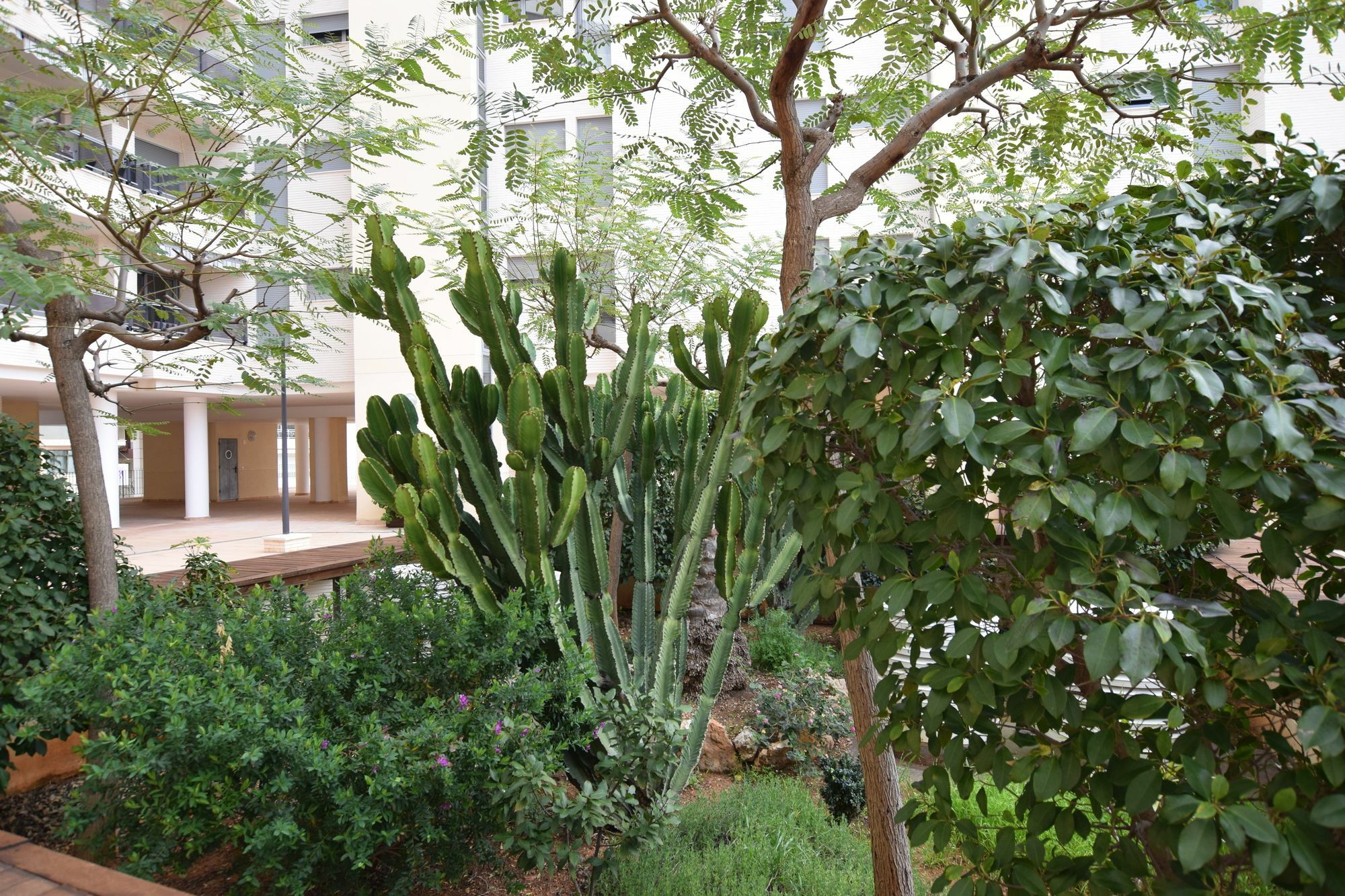 Plaza Mayor 2 Bedroom Apartment 卡尔佩 外观 照片